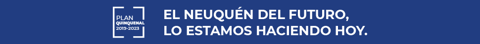 Plan Quinquenal