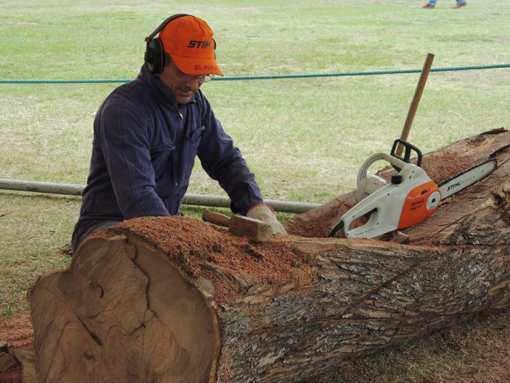 escultores-en-accion-1