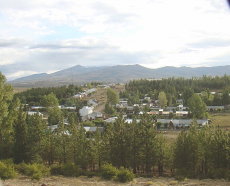 las-ovejas-desde-el-mirador-la-cruz