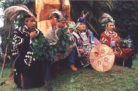 mapuche