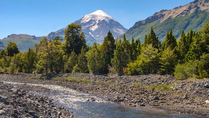 web-anuncian-nuevos-fondos-para-la-preservacion-de-los-bosques-nativos-78-708x400