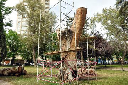 ESCULTURA DE LA PLAZA.